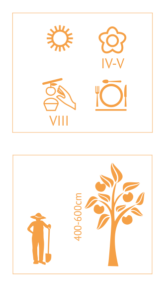 16717