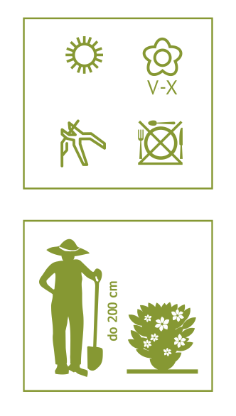 00047