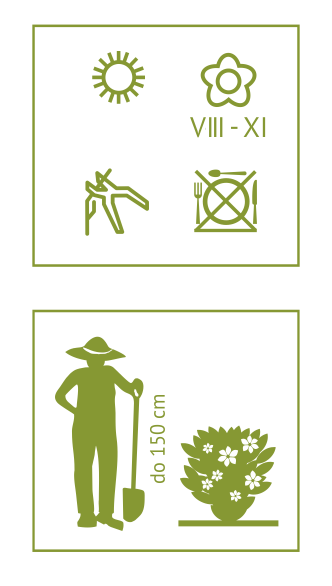 00047