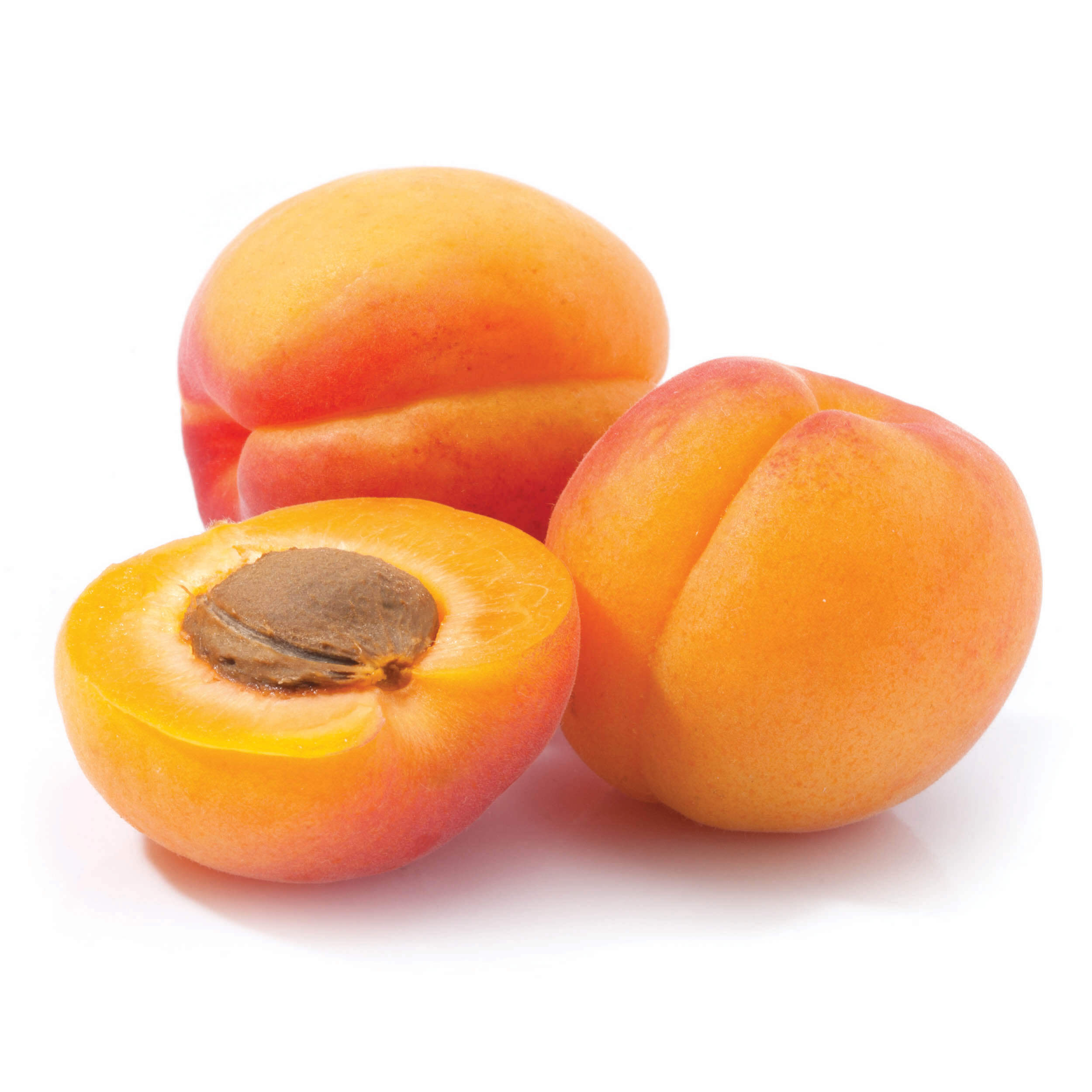 Brzoskwinia Prunus persica "Reliance"