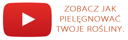 Sprawdź nasze relacje z targów