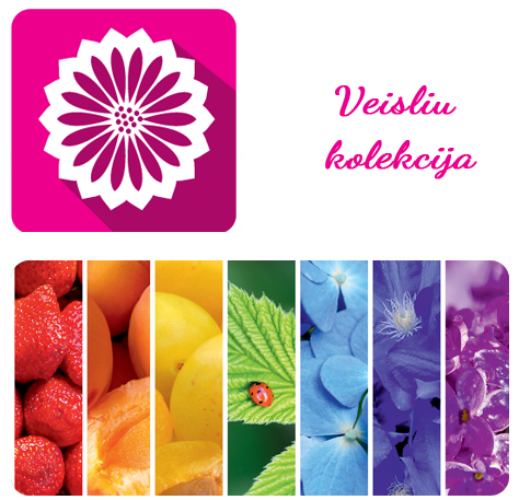 VEISLIŲ KOLEKCIJA