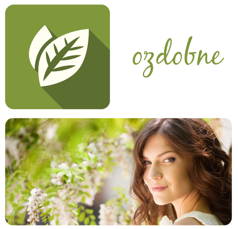 Ozdobne